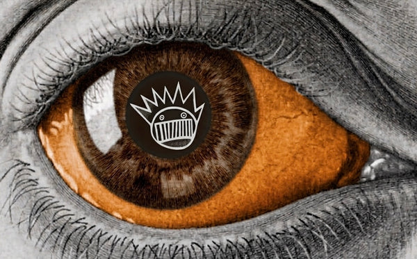 Ween 5” shiny Chocolate and Cheese Eye