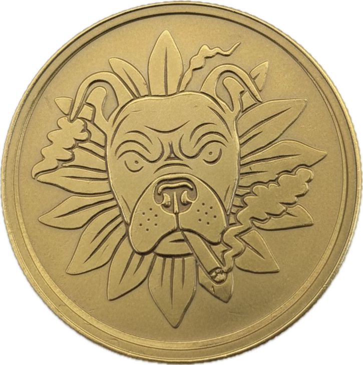 DHTP Coin Slap Packs